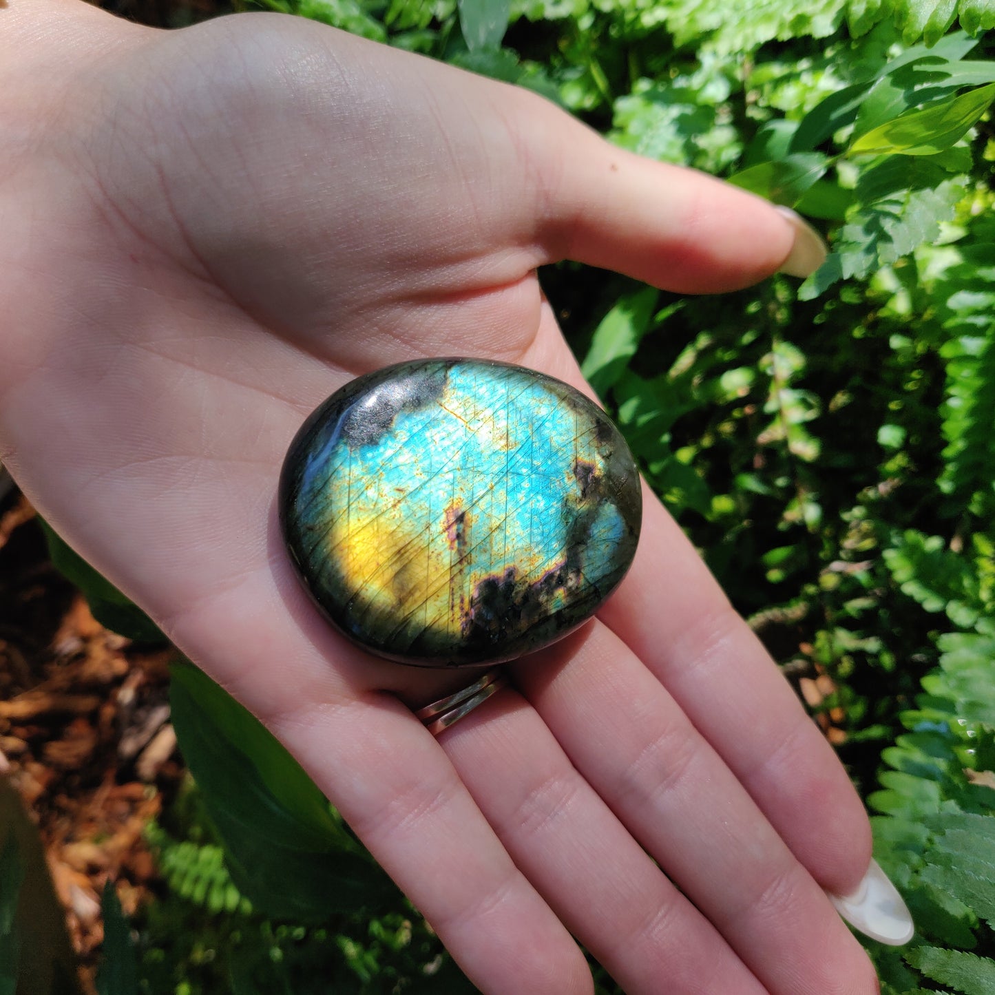 Labradorite Palm Stone (#159) - Simply Affinity