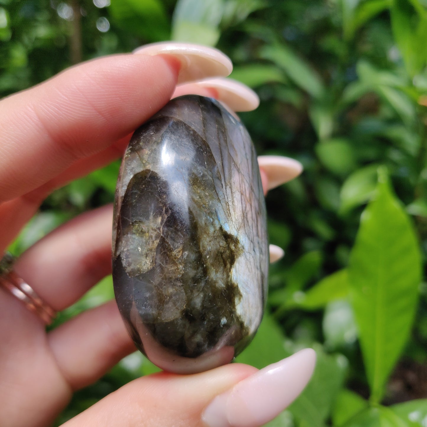 Labradorite Palm Stone (#127) - Simply Affinity