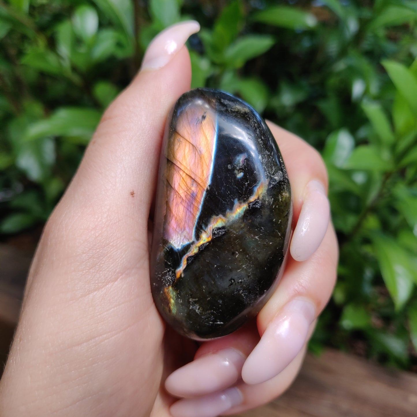 Labradorite Palm Stone (#172) - Simply Affinity