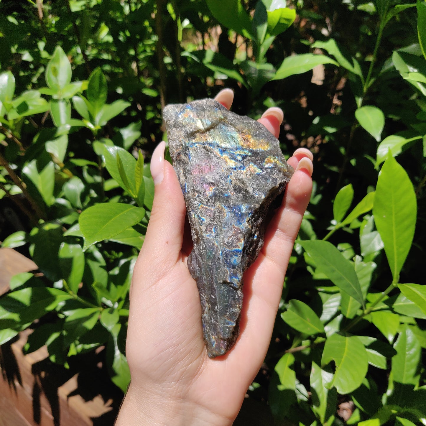 Labradorite Slab (#56) - Simply Affinity