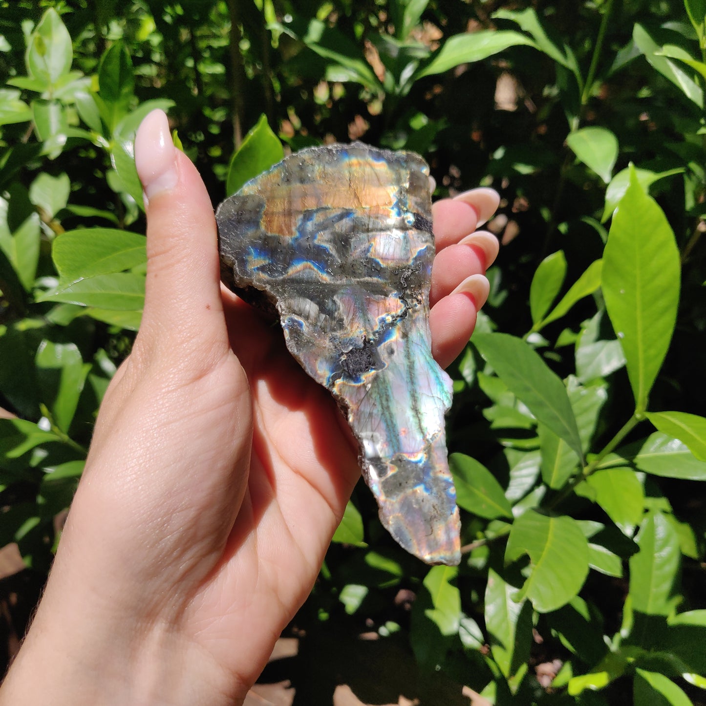 Labradorite Slab (#56) - Simply Affinity