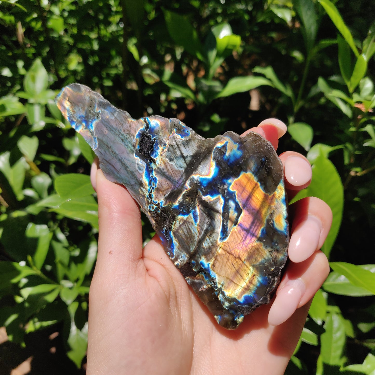 Labradorite Slab (#56) - Simply Affinity