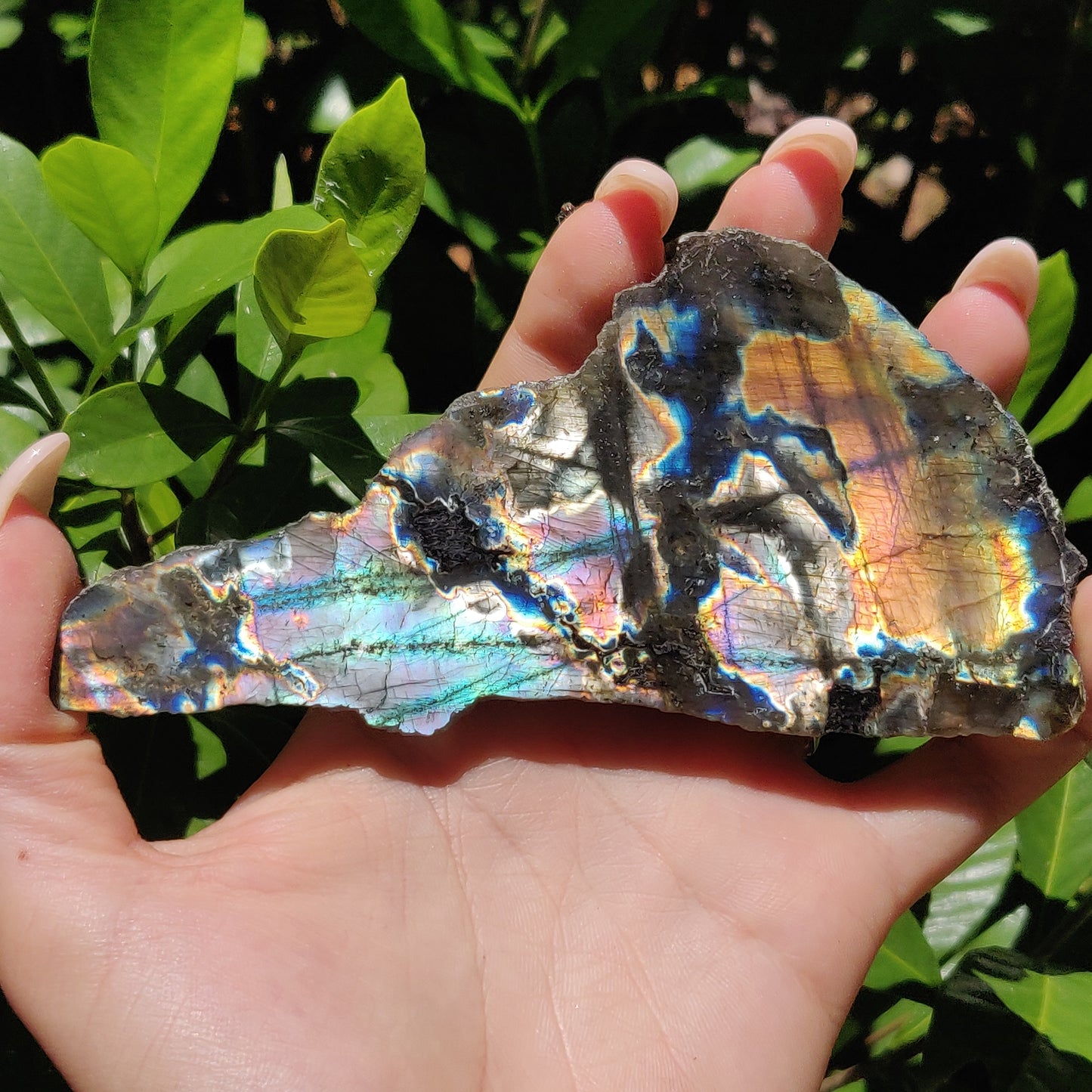 Labradorite Slab (#56) - Simply Affinity