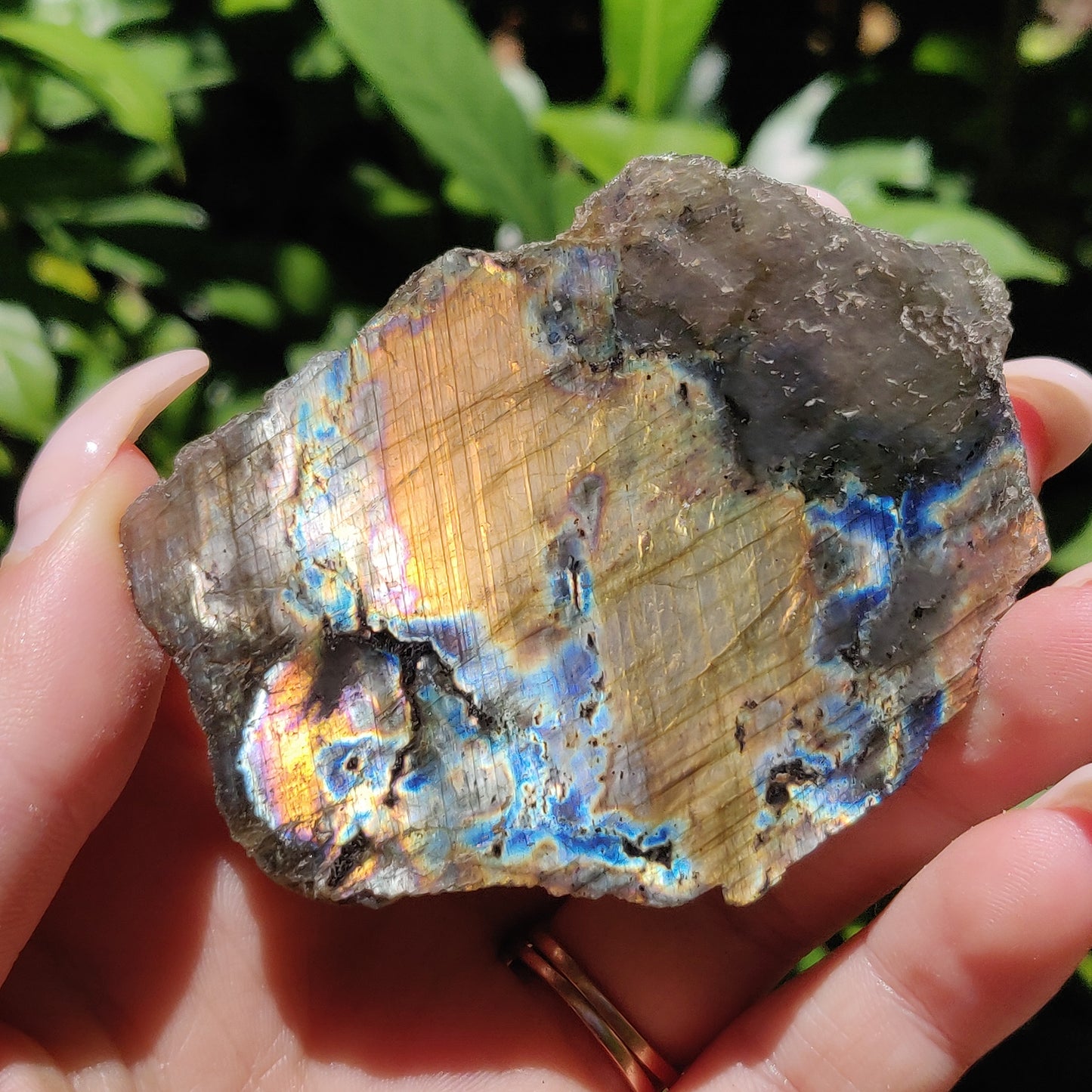 Labradorite Slab (#59) - Simply Affinity