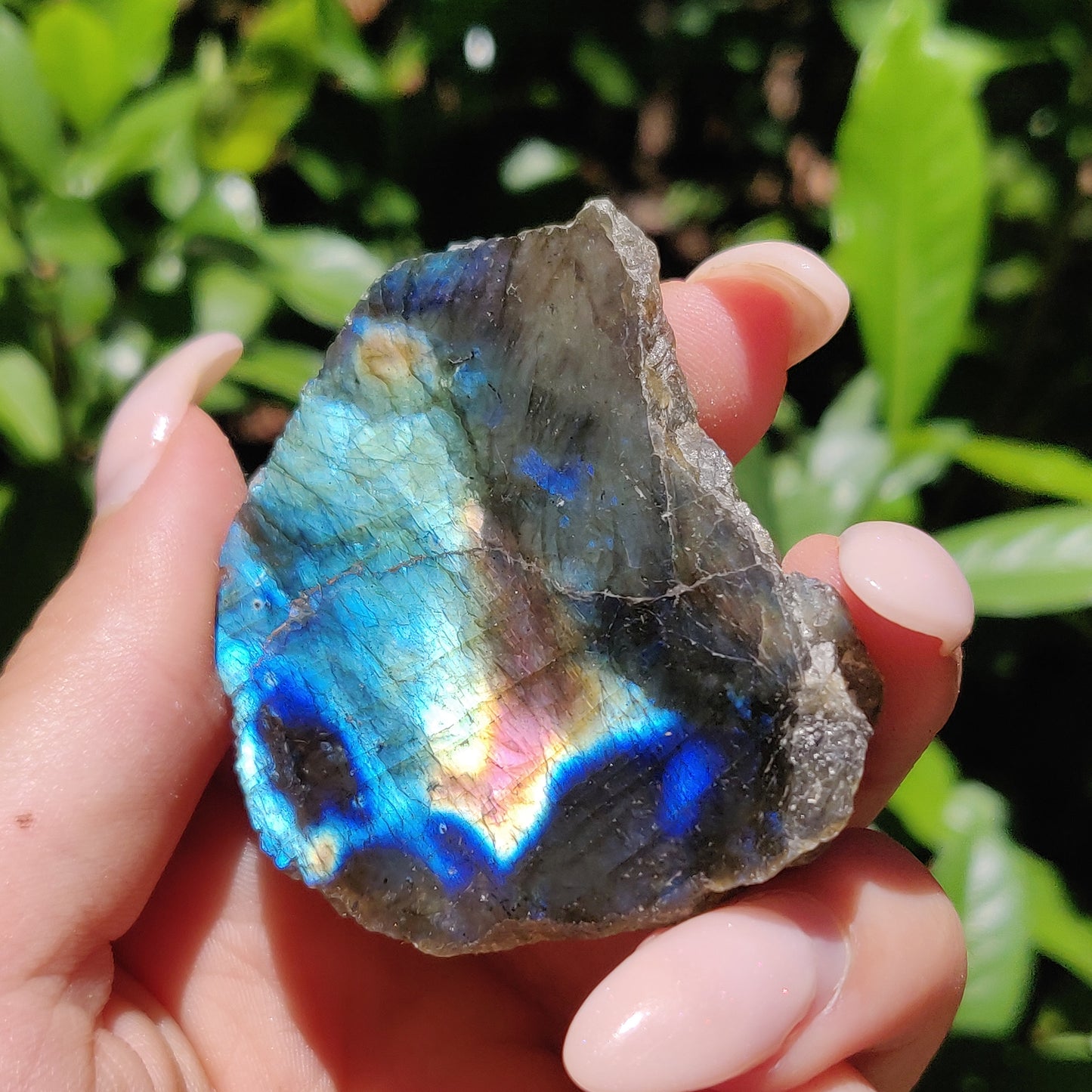 Labradorite Slab (#48) - Simply Affinity