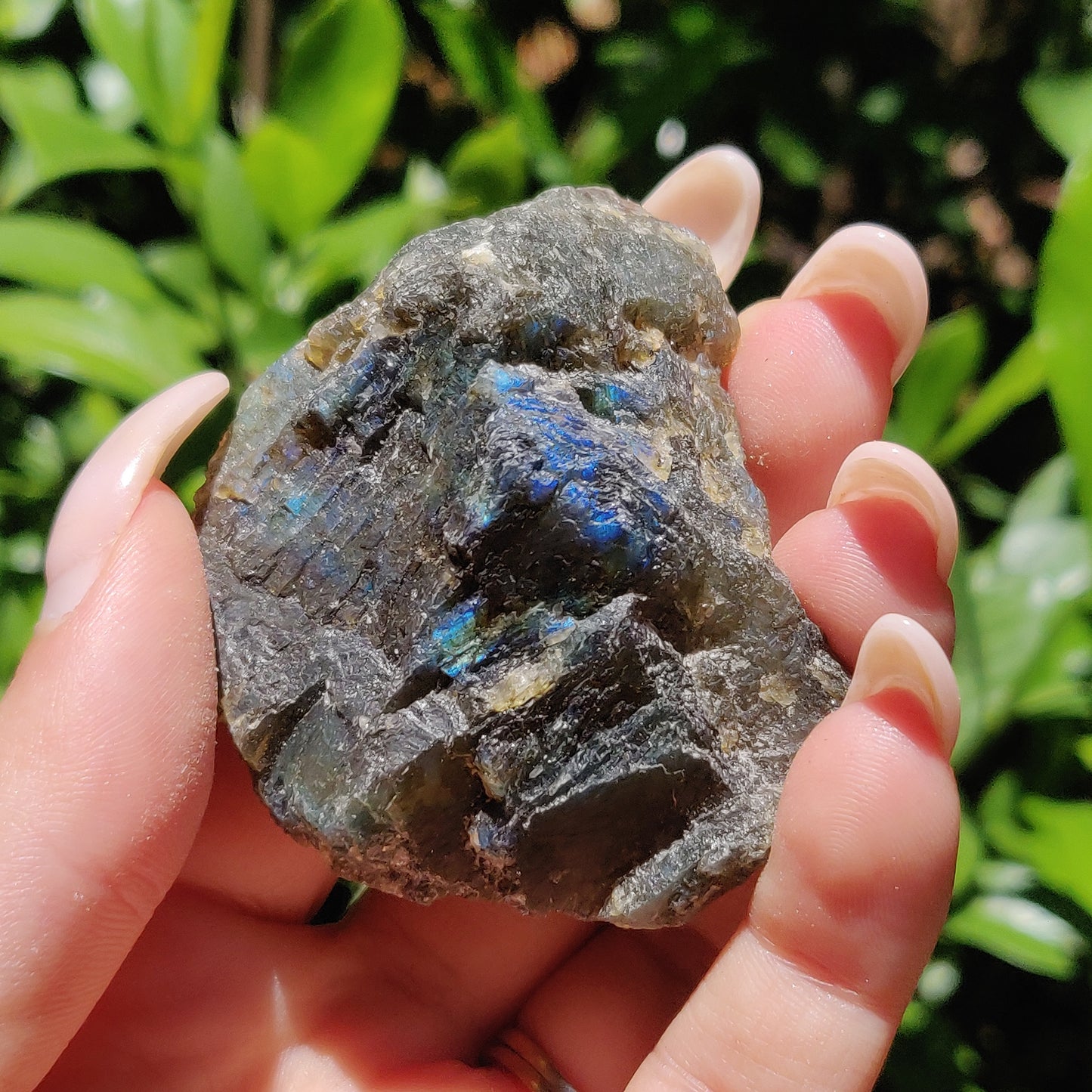 Labradorite Slab (#48) - Simply Affinity