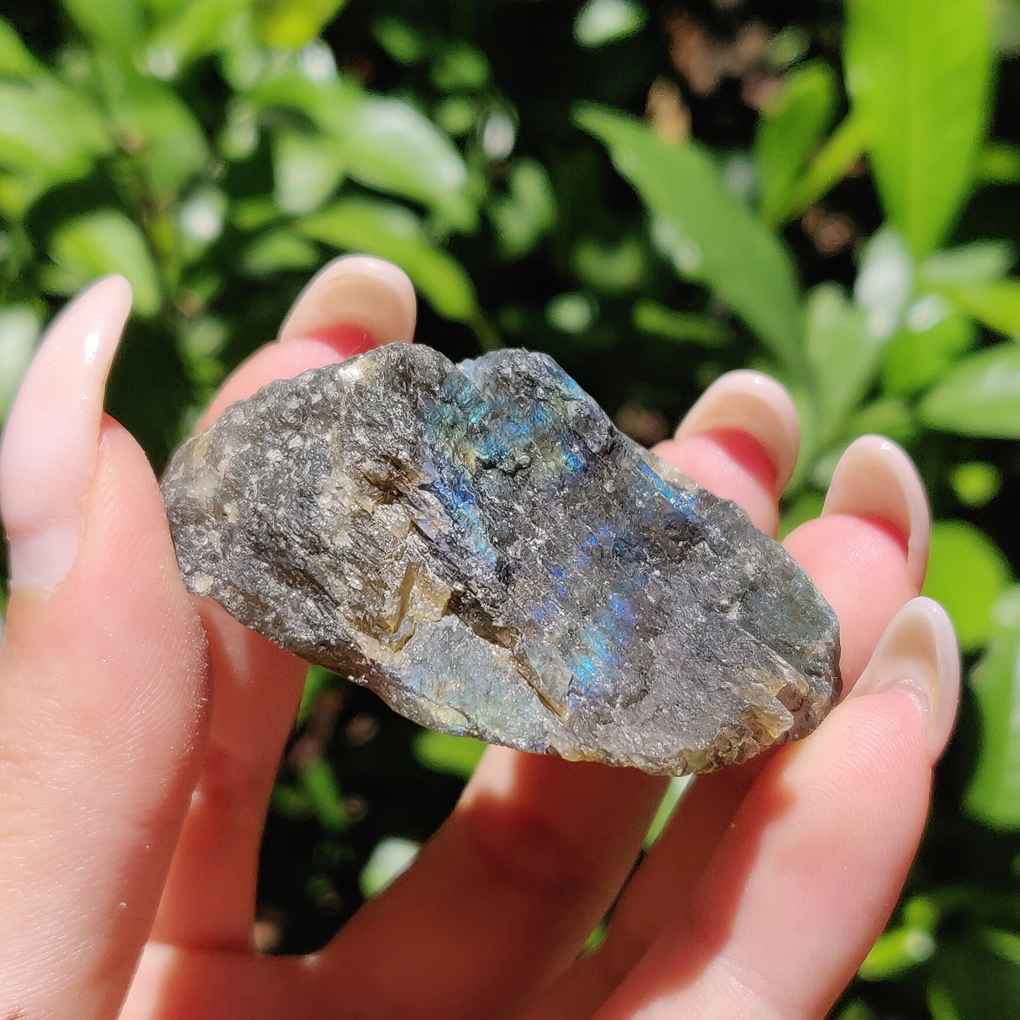 Labradorite Slab (#48) - Simply Affinity