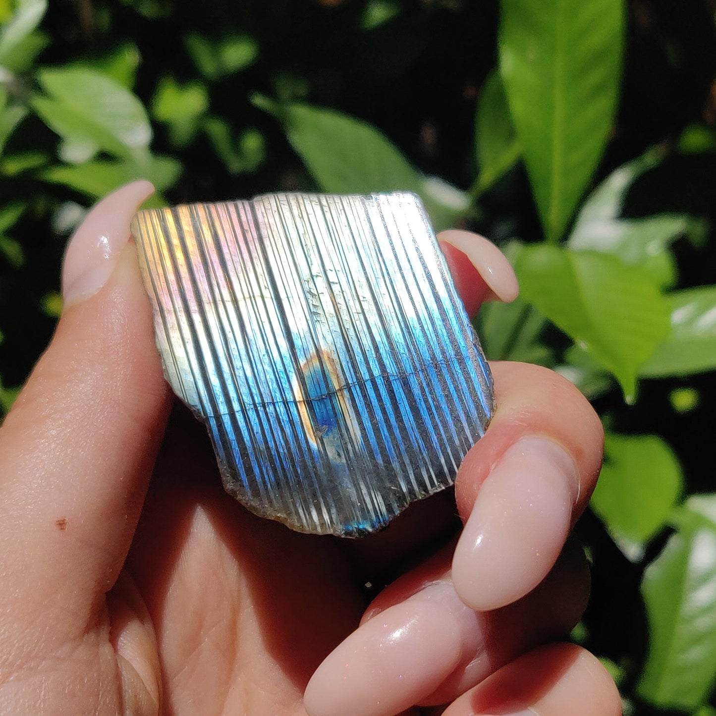 Labradorite Slab (#58) - Simply Affinity
