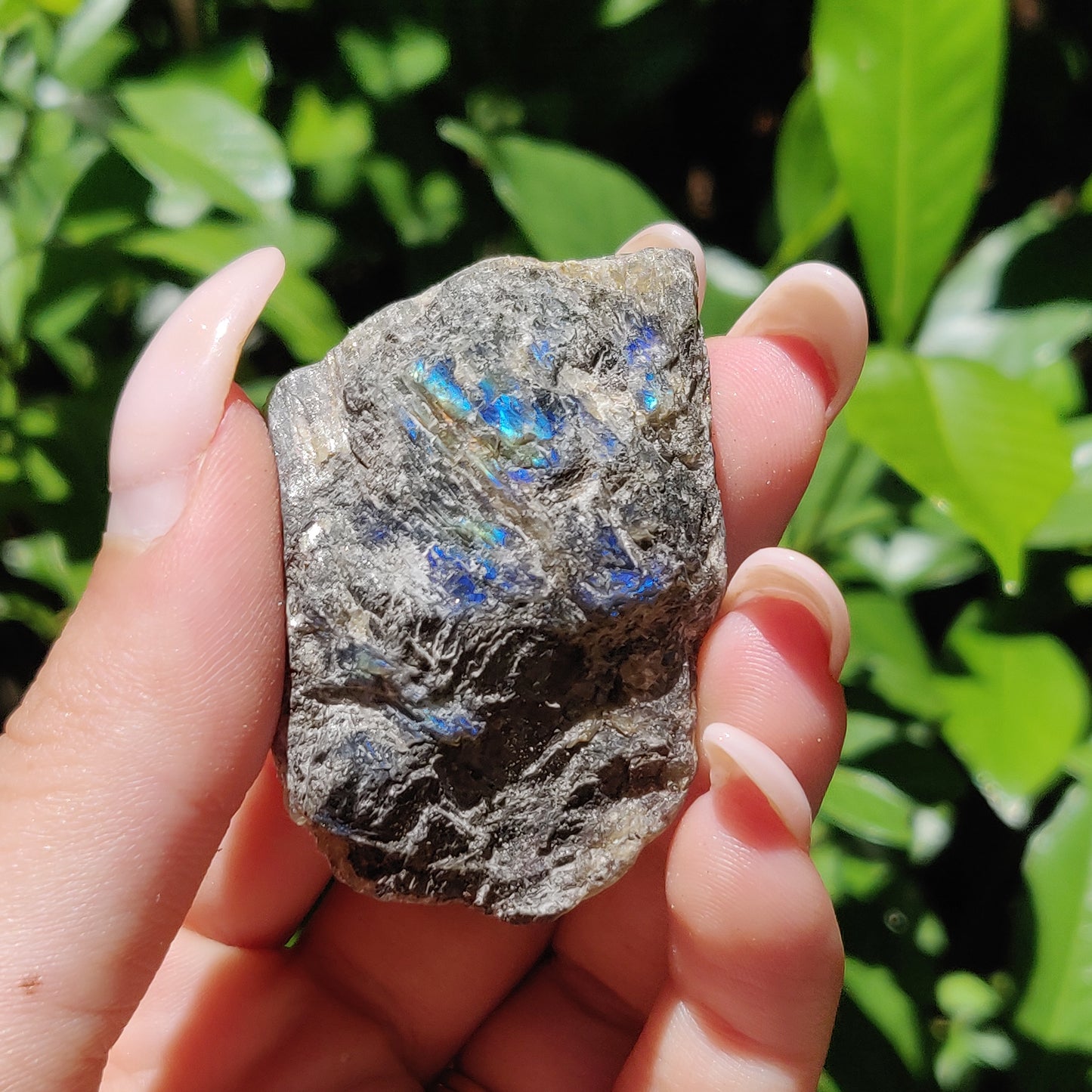 Labradorite Slab (#58) - Simply Affinity