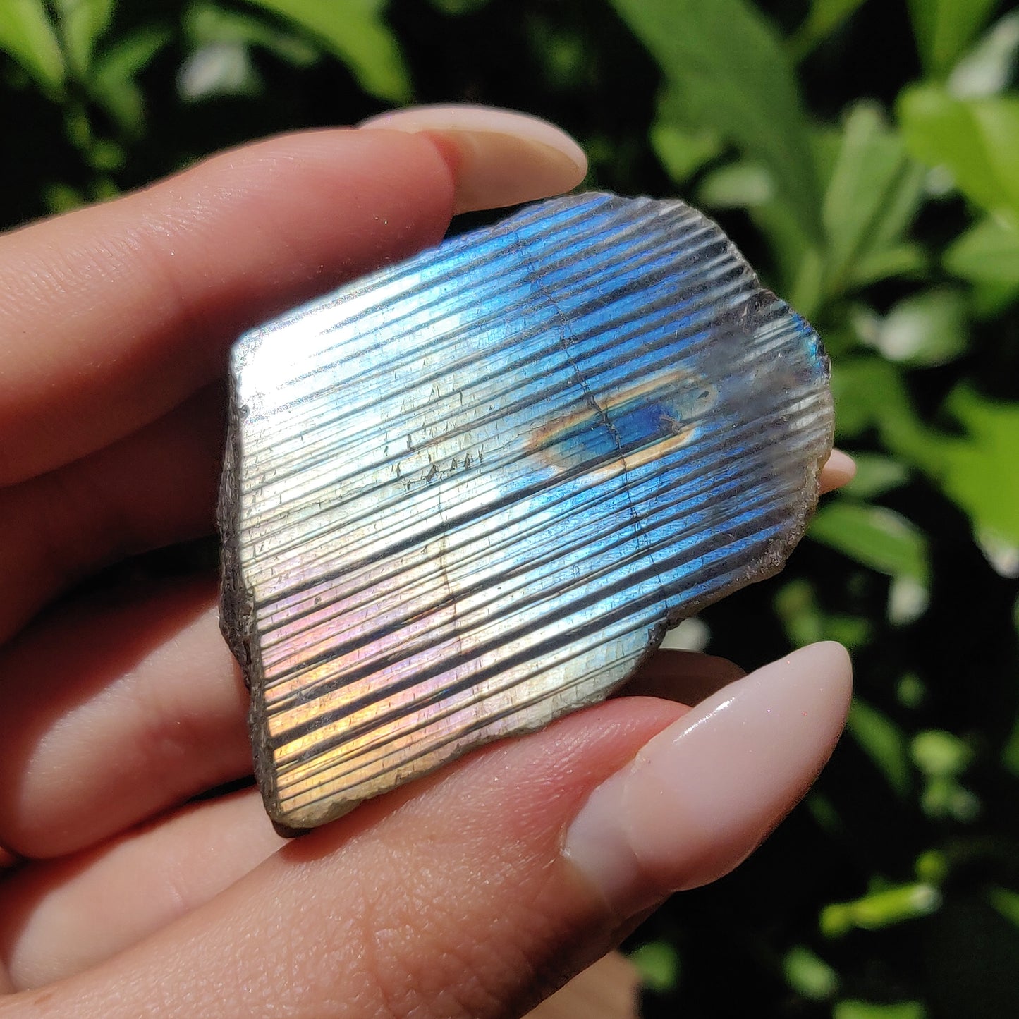 Labradorite Slab (#58) - Simply Affinity
