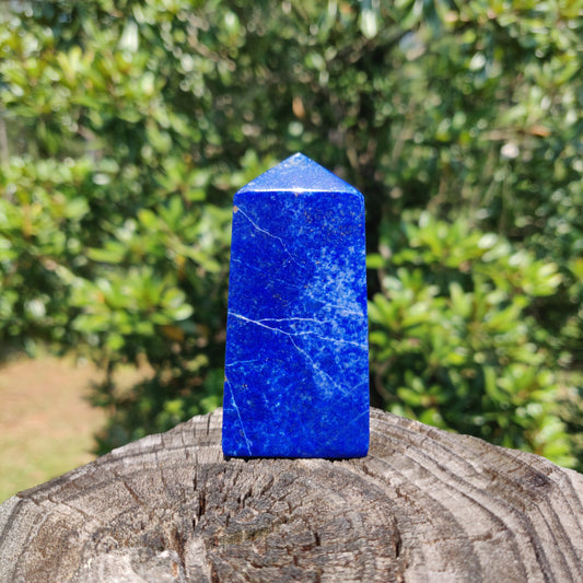 Lapis Lazuli Point (#11) - Simply Affinity