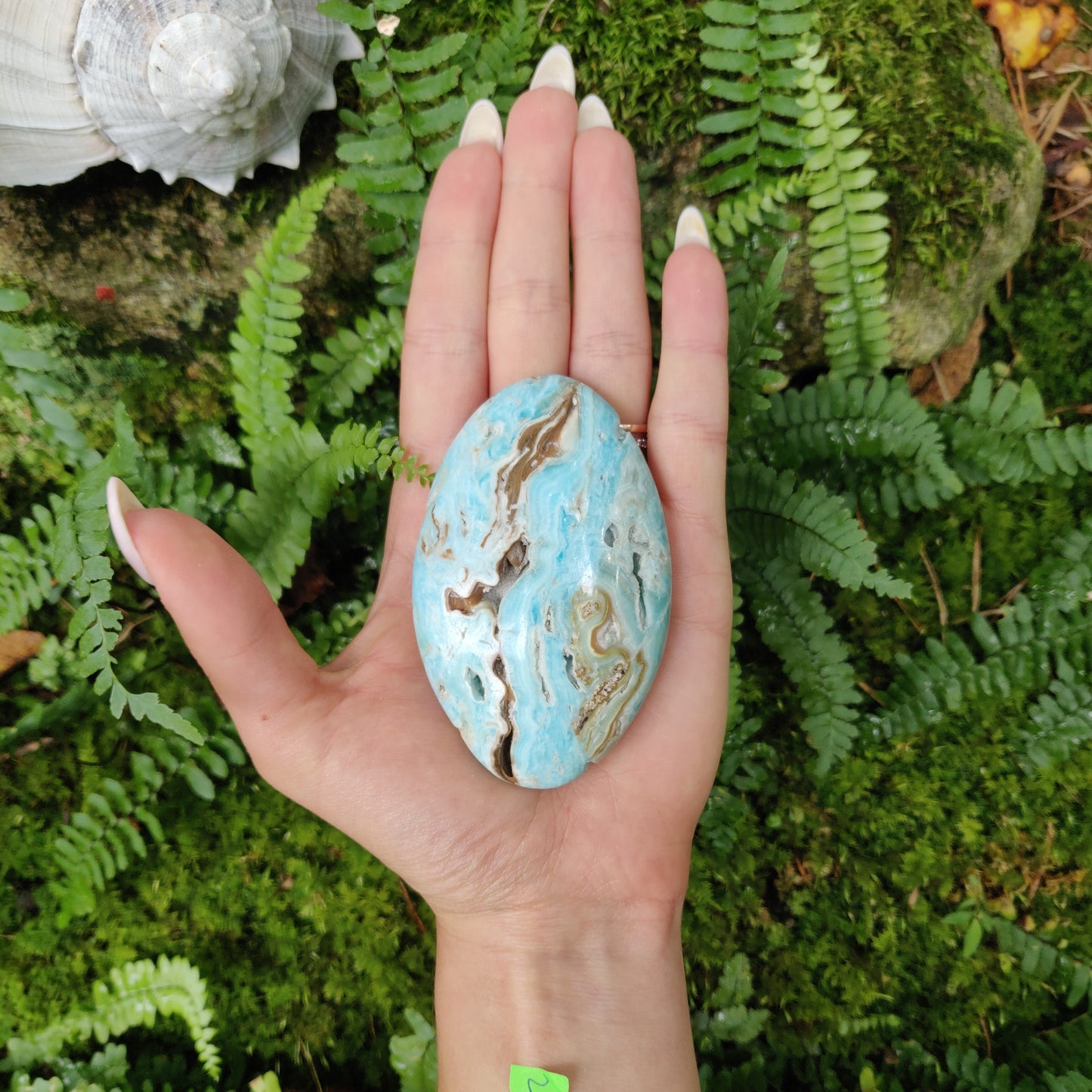 Blue Aragonite Palm Stone (#2) - Simply Affinity