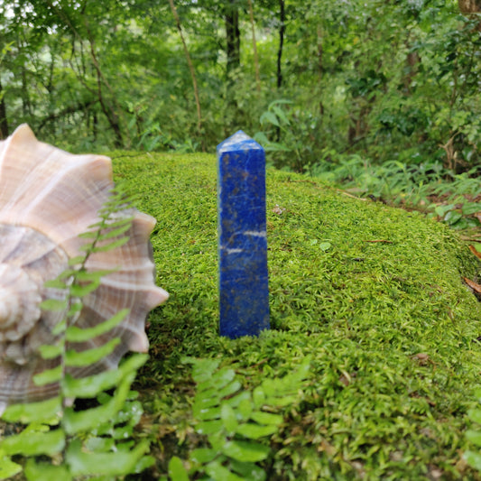 Lapis Lazuli Point (#14) - Simply Affinity