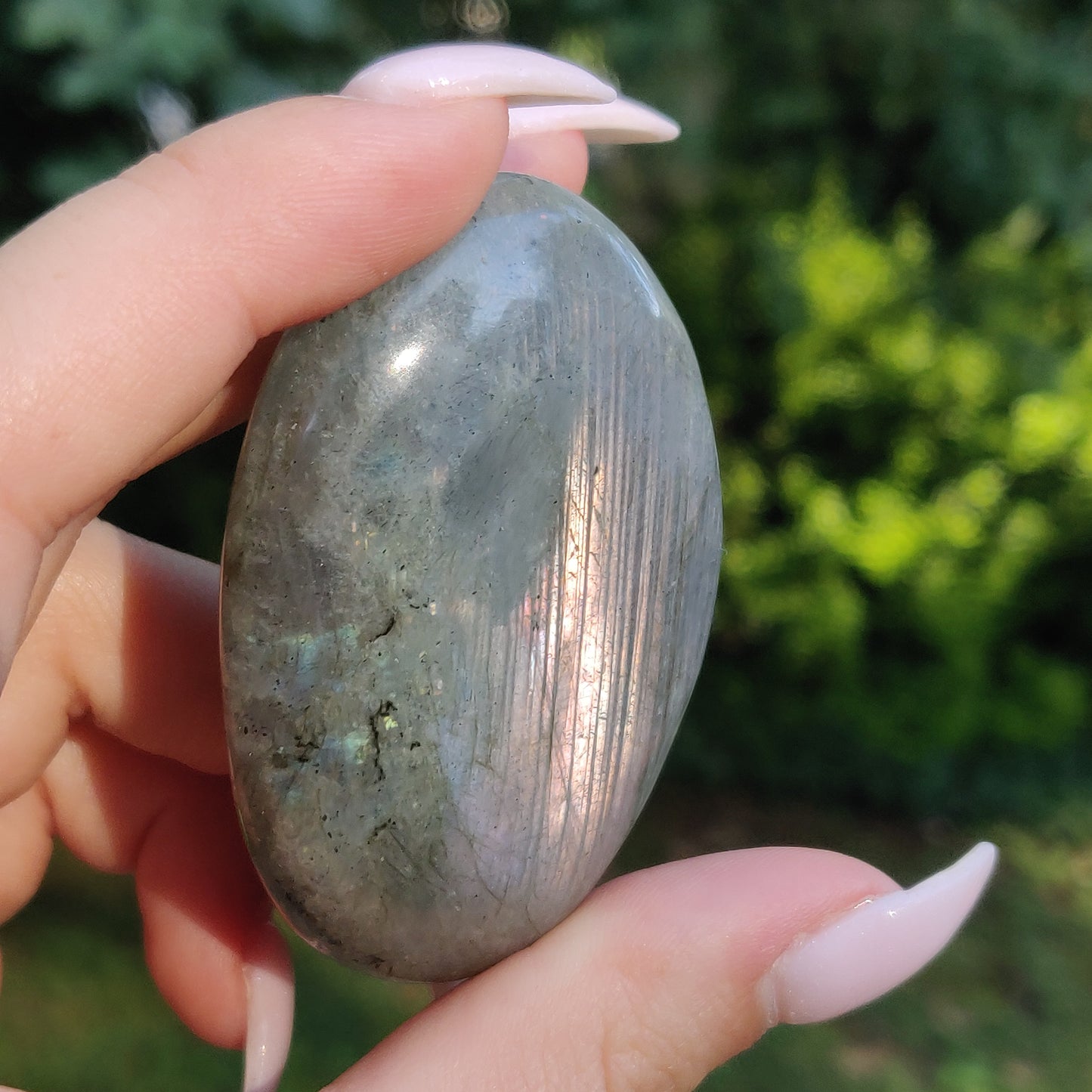 Labradorite Palm Stone (#241) - Simply Affinity