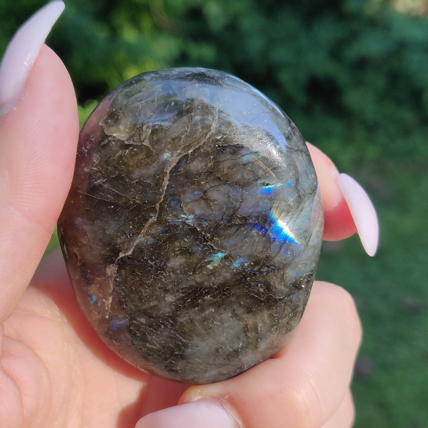 Labradorite Palm Stone (#246) - Simply Affinity