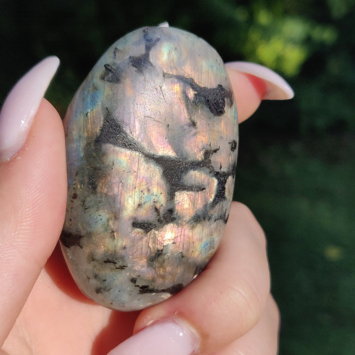 Labradorite Palm Stone (#250) - Simply Affinity