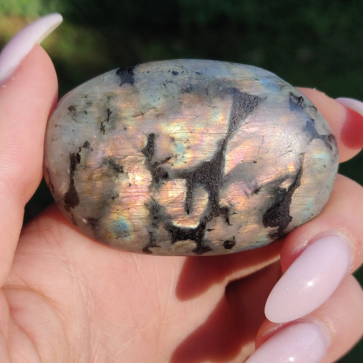 Labradorite Palm Stone (#250) - Simply Affinity