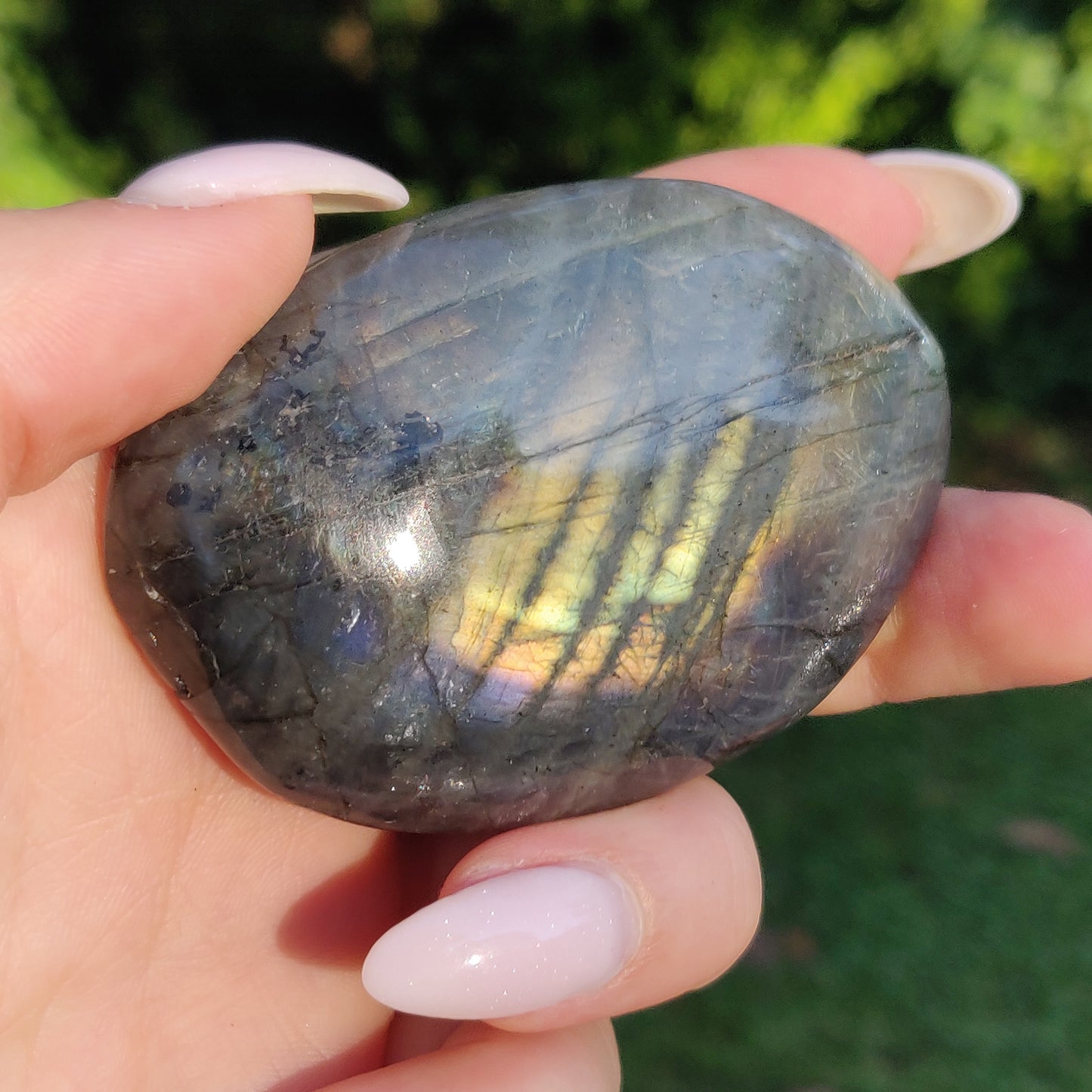 Labradorite Palm Stone (#255) - Simply Affinity