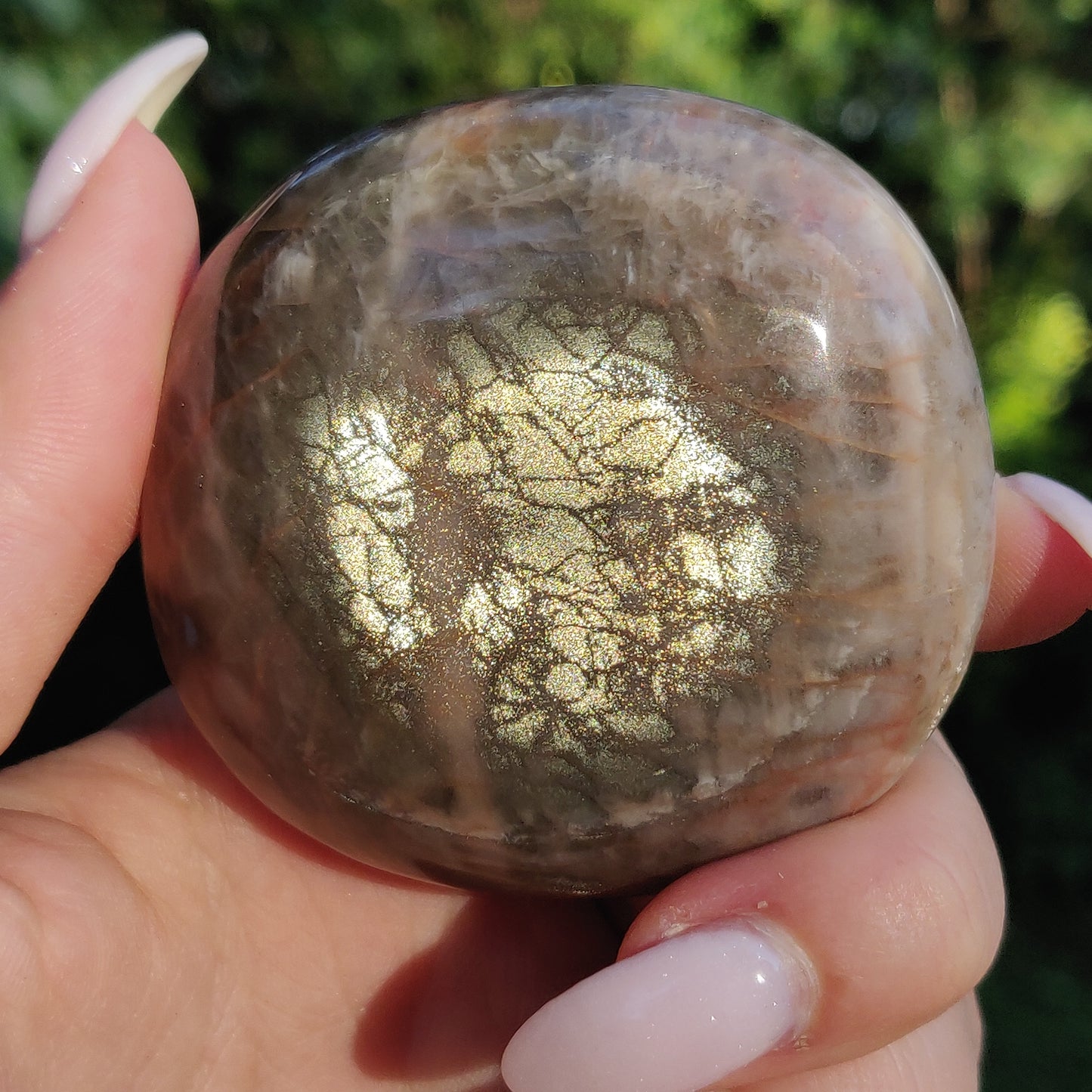 Black Moonstone Palm Stone, Flashy Black Moonstone (#11) - Simply Affinity
