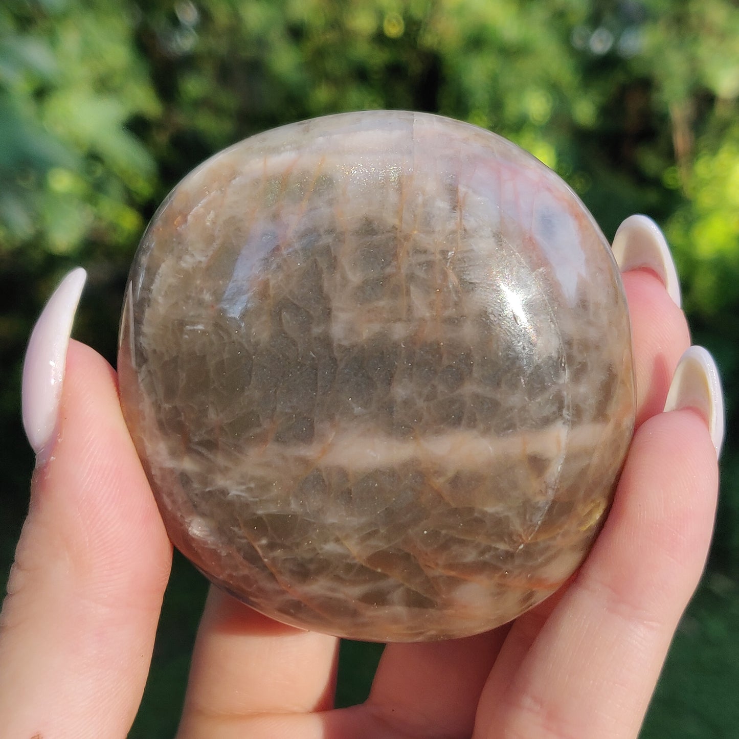 Black Moonstone Palm Stone, Flashy Black Moonstone (#11) - Simply Affinity