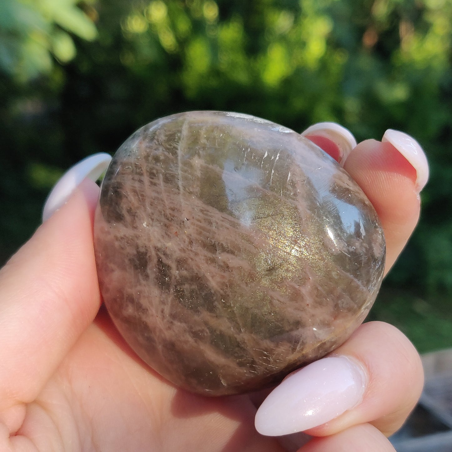 Black Moonstone Palm Stone, Flashy Black Moonstone (#14) - Simply Affinity