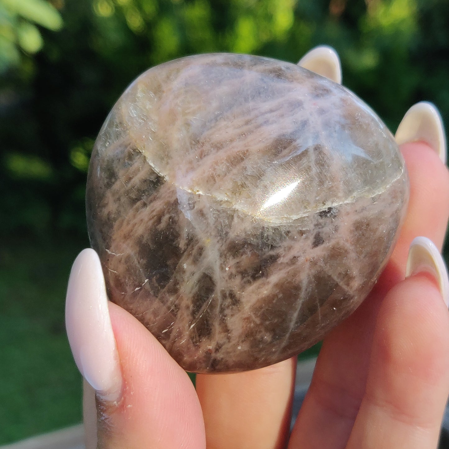Black Moonstone Palm Stone, Flashy Black Moonstone (#14) - Simply Affinity