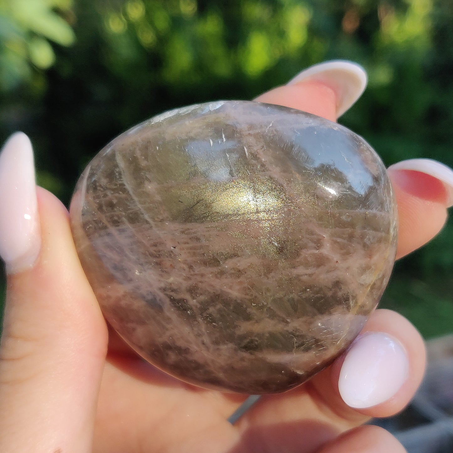 Black Moonstone Palm Stone, Flashy Black Moonstone (#14) - Simply Affinity