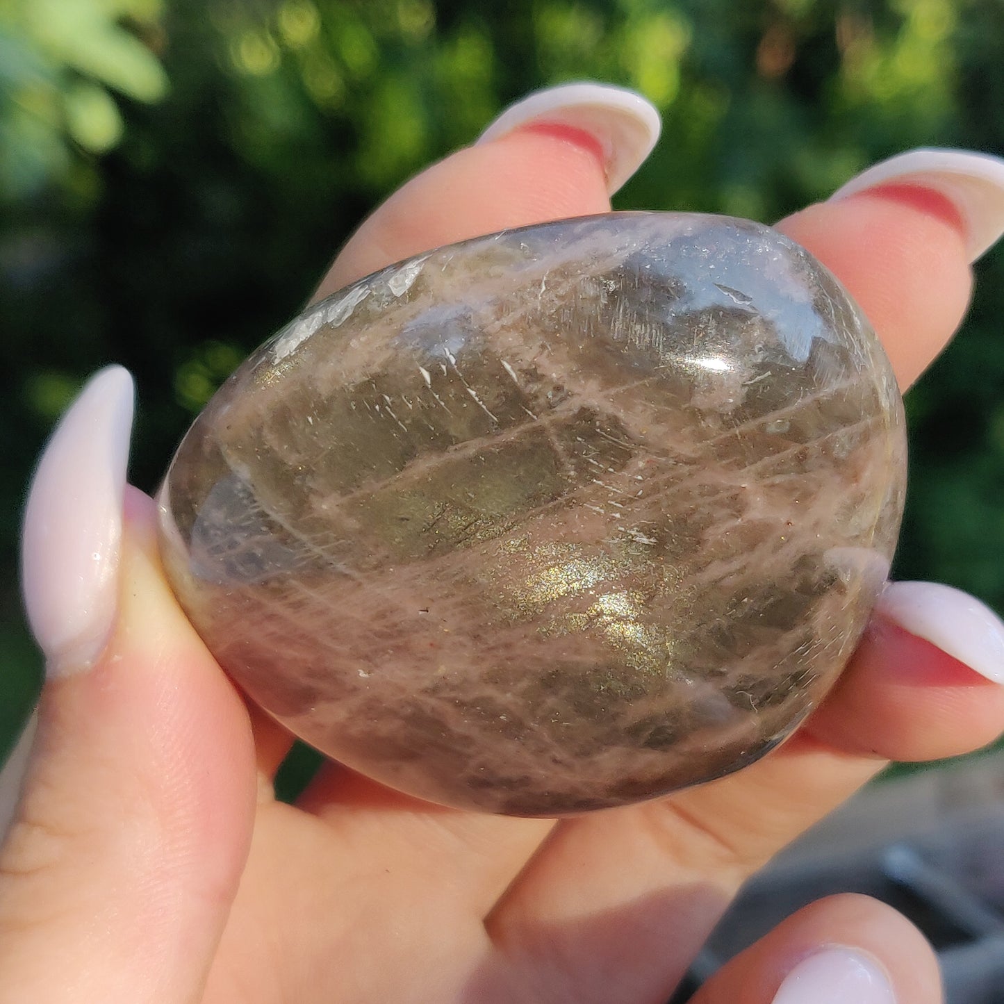 Black Moonstone Palm Stone, Flashy Black Moonstone (#14) - Simply Affinity