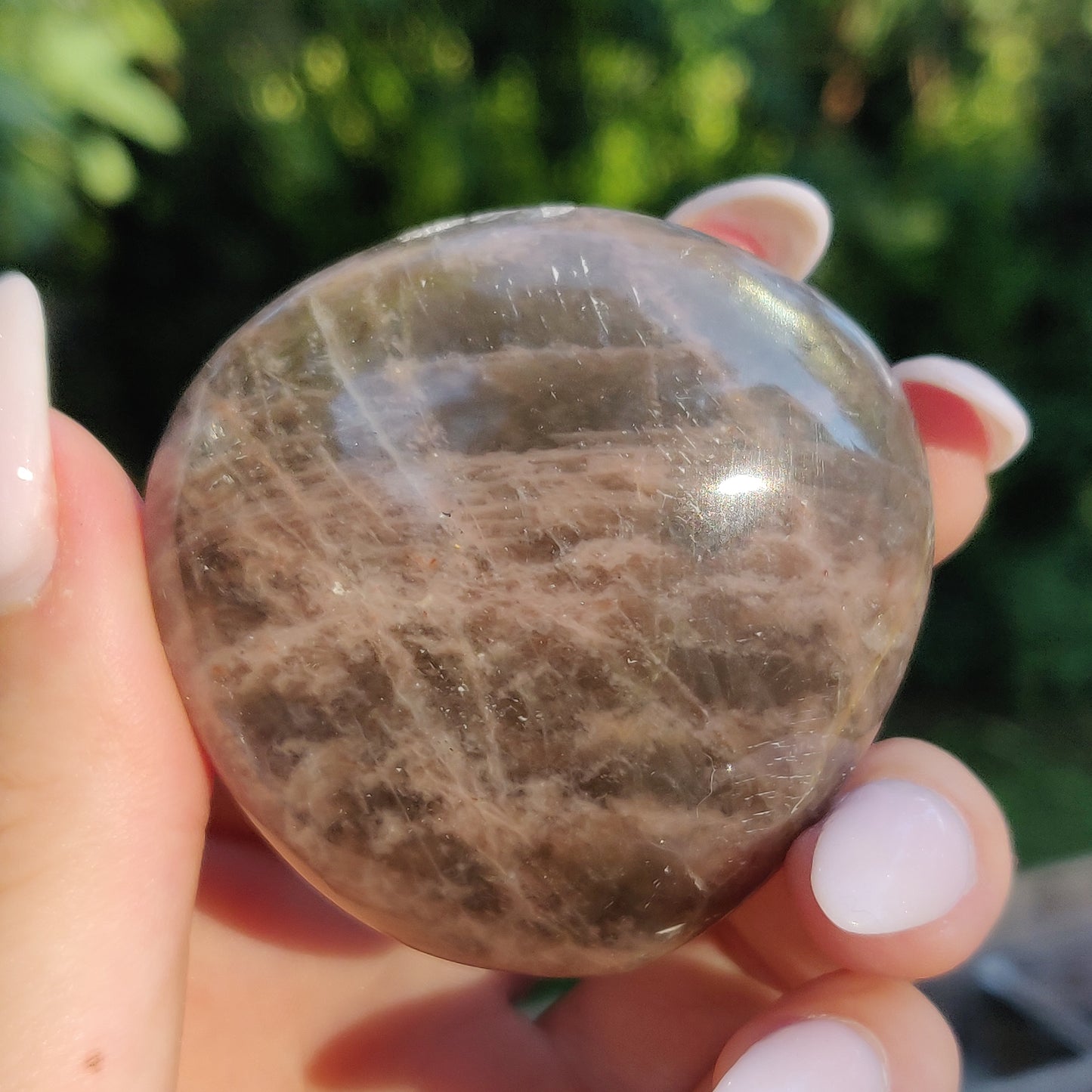 Black Moonstone Palm Stone, Flashy Black Moonstone (#14) - Simply Affinity