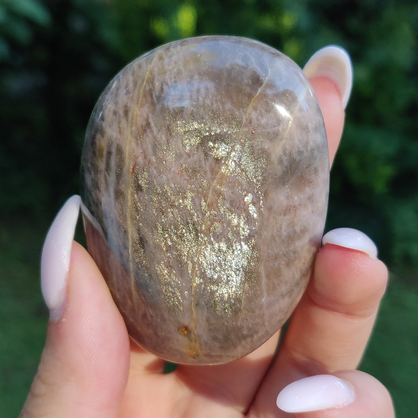 Black Moonstone Palm Stone, Flashy Black Moonstone (#20) - Simply Affinity