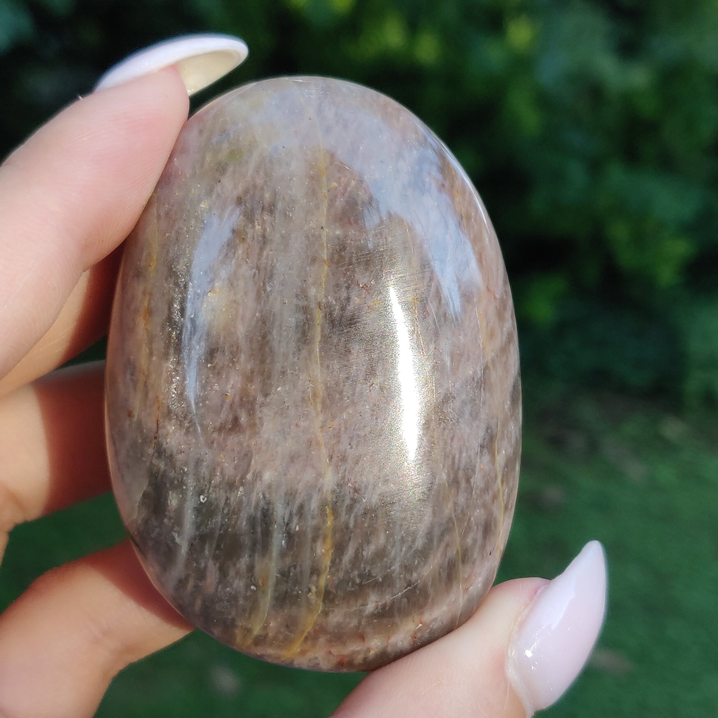 Black Moonstone Palm Stone, Flashy Black Moonstone (#20) - Simply Affinity