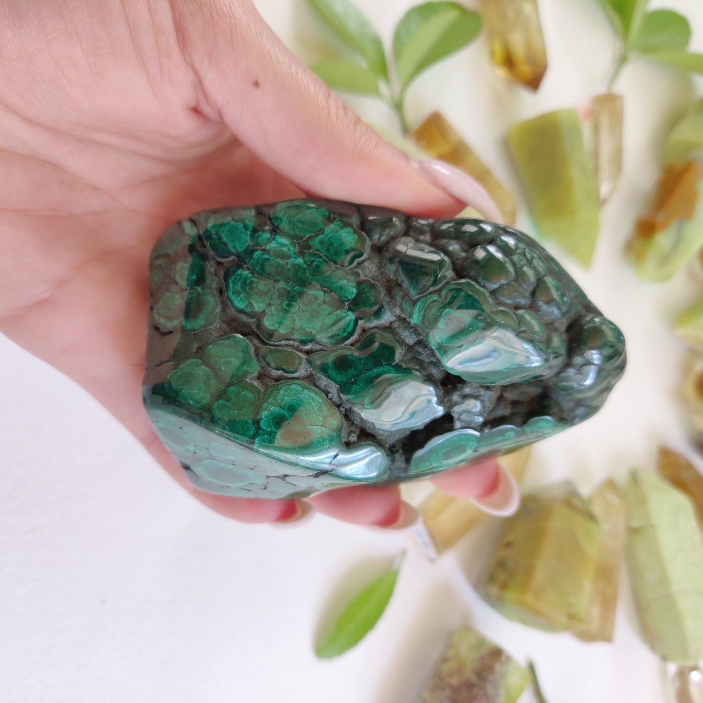 Malachite Specimen (#6) - Simply Affinity