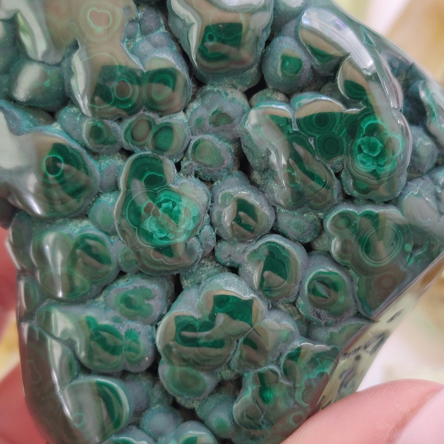 Malachite Specimen (#7) - Simply Affinity