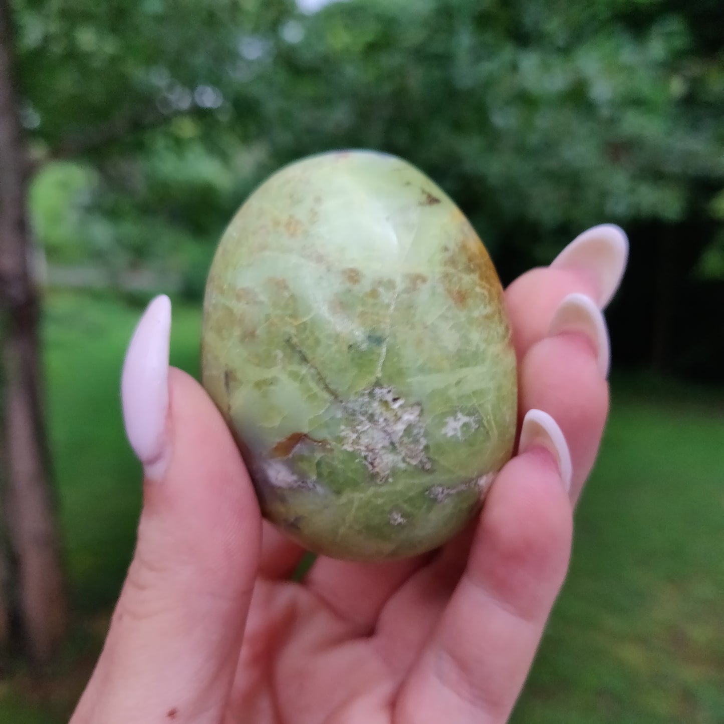 Green Opal Palm Stone (#1) - Simply Affinity