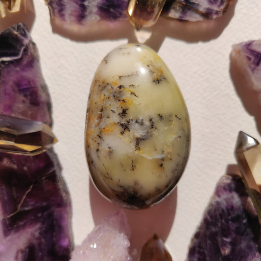 Dendritic Opal Palm Stone (#38) - Simply Affinity