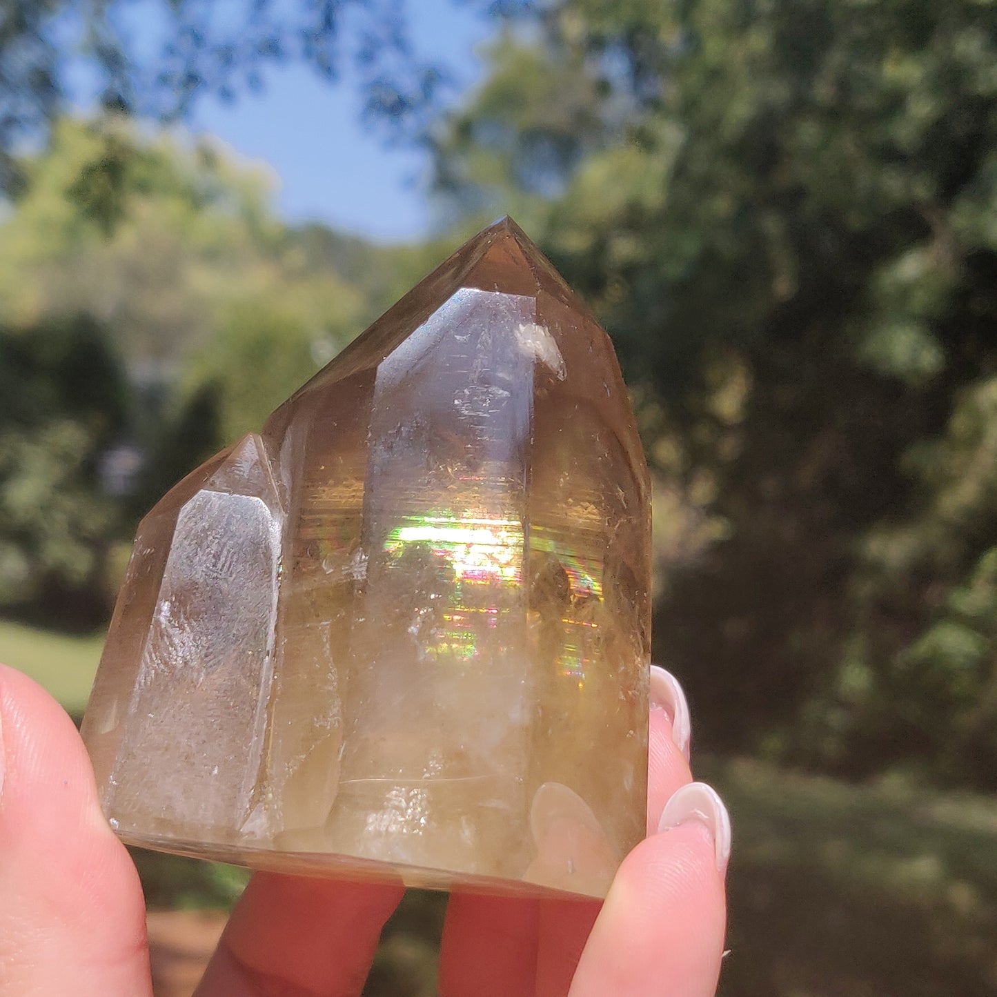 Citrine Cluster Points with Rainbow Inclusons (#12E) - Simply Affinity