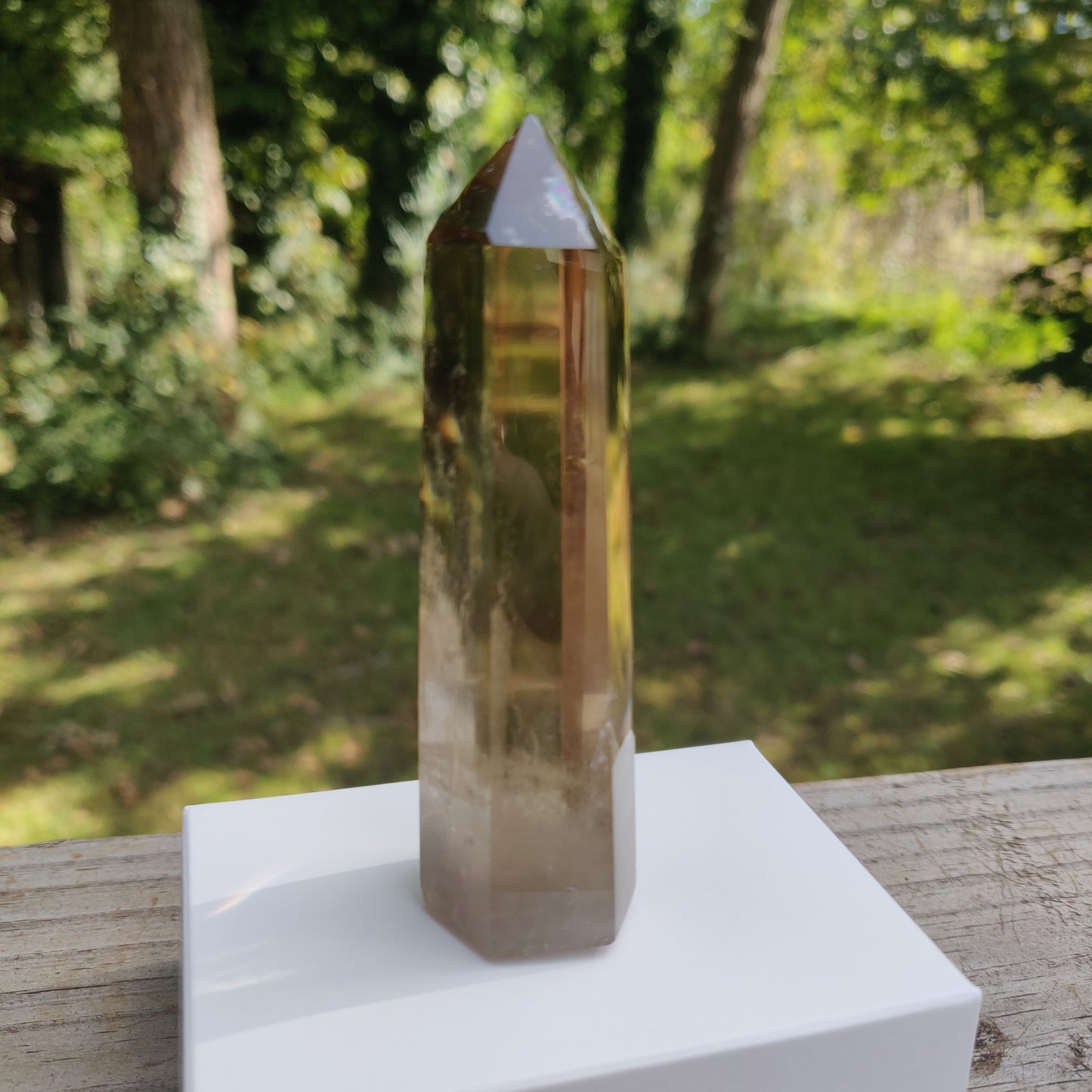 Citrine Point (#1E) - Simply Affinity