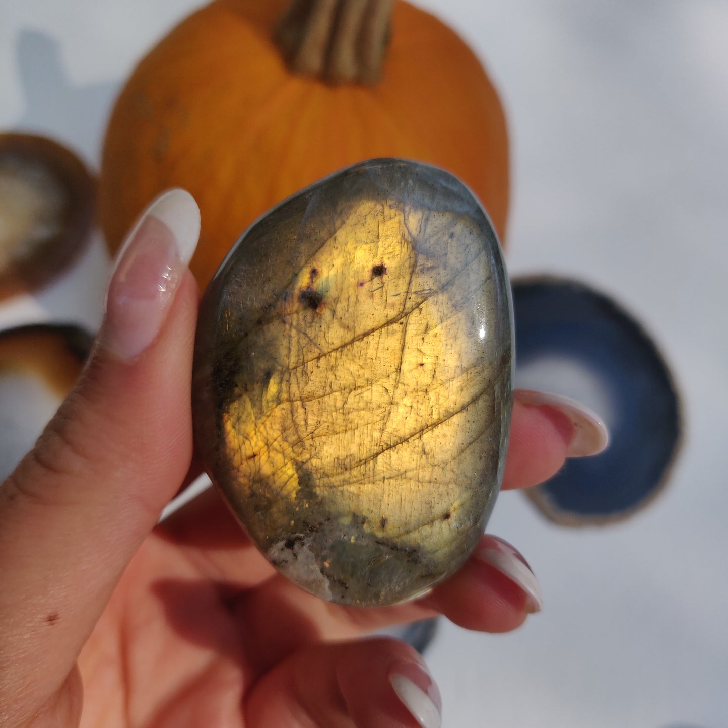 Labradorite Palm Stone (#216) - Simply Affinity