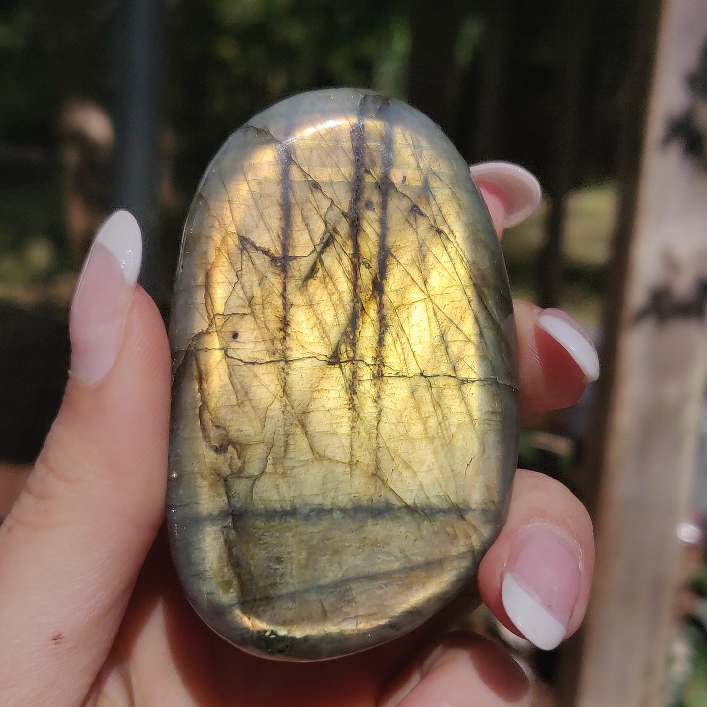 Labradorite Palm Stone (#268) - Simply Affinity