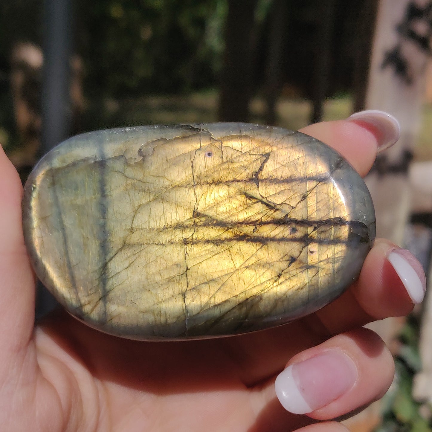 Labradorite Palm Stone (#268) - Simply Affinity