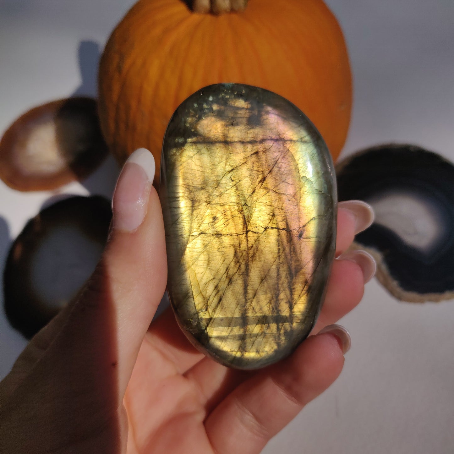 Labradorite Palm Stone (#268) - Simply Affinity