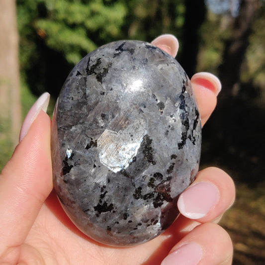 Larvikite Palm Stone (#11) - Simply Affinity