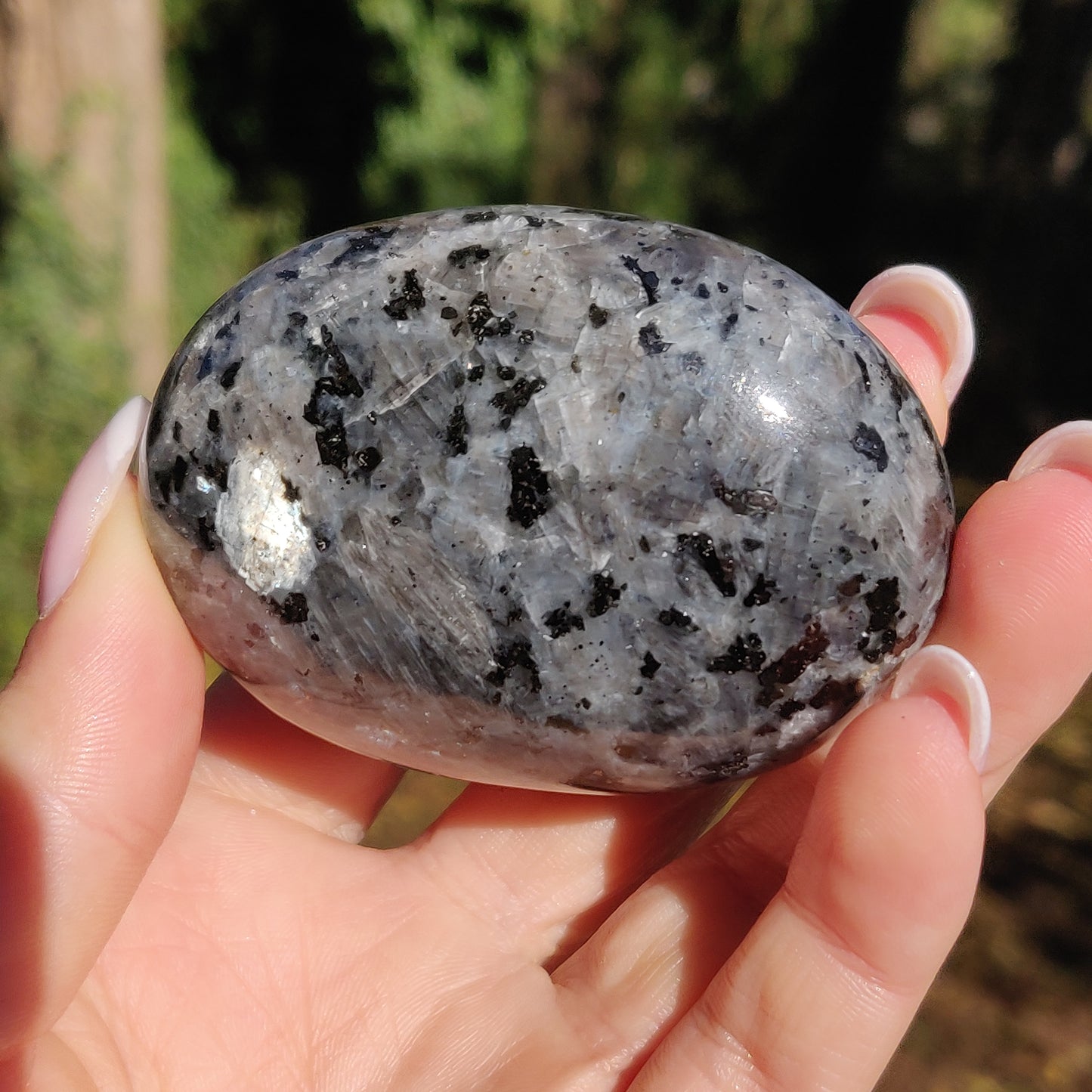 Larvikite Palm Stone (#12) - Simply Affinity