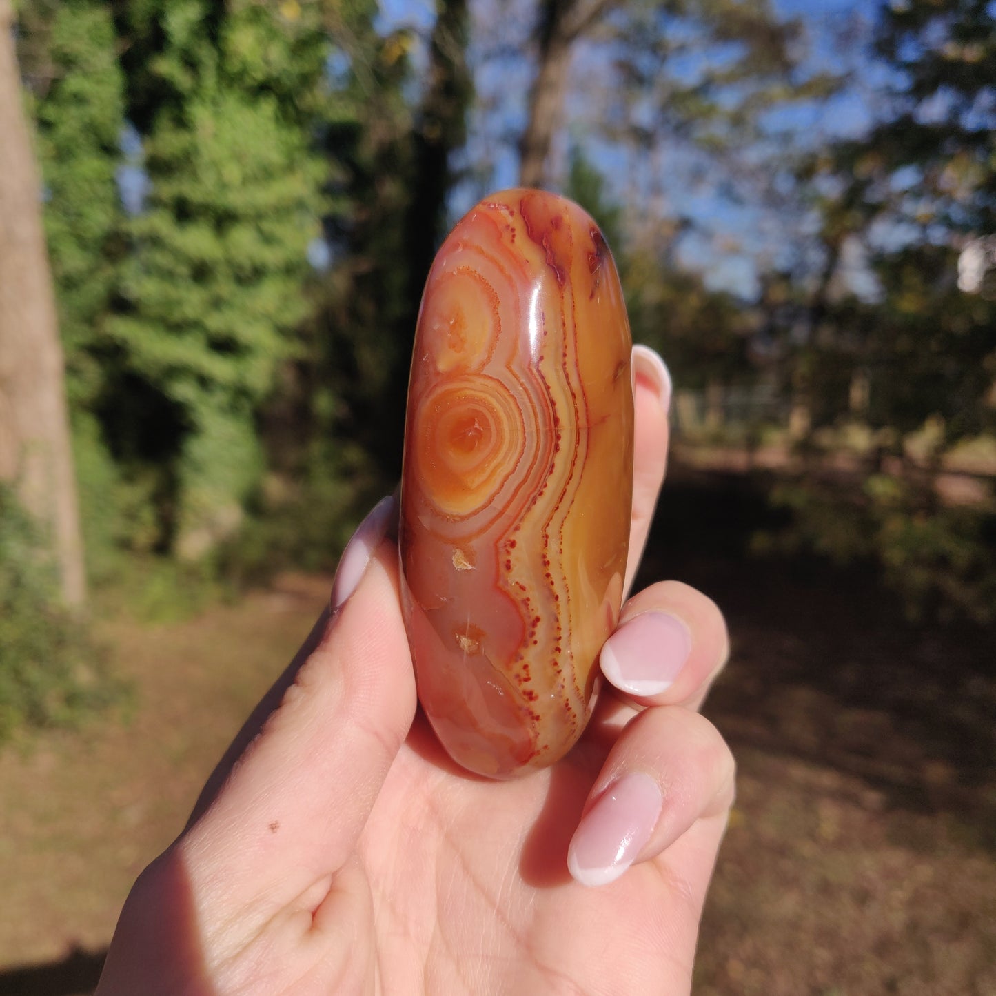 Carnelian Palm Stone (#5) - Simply Affinity