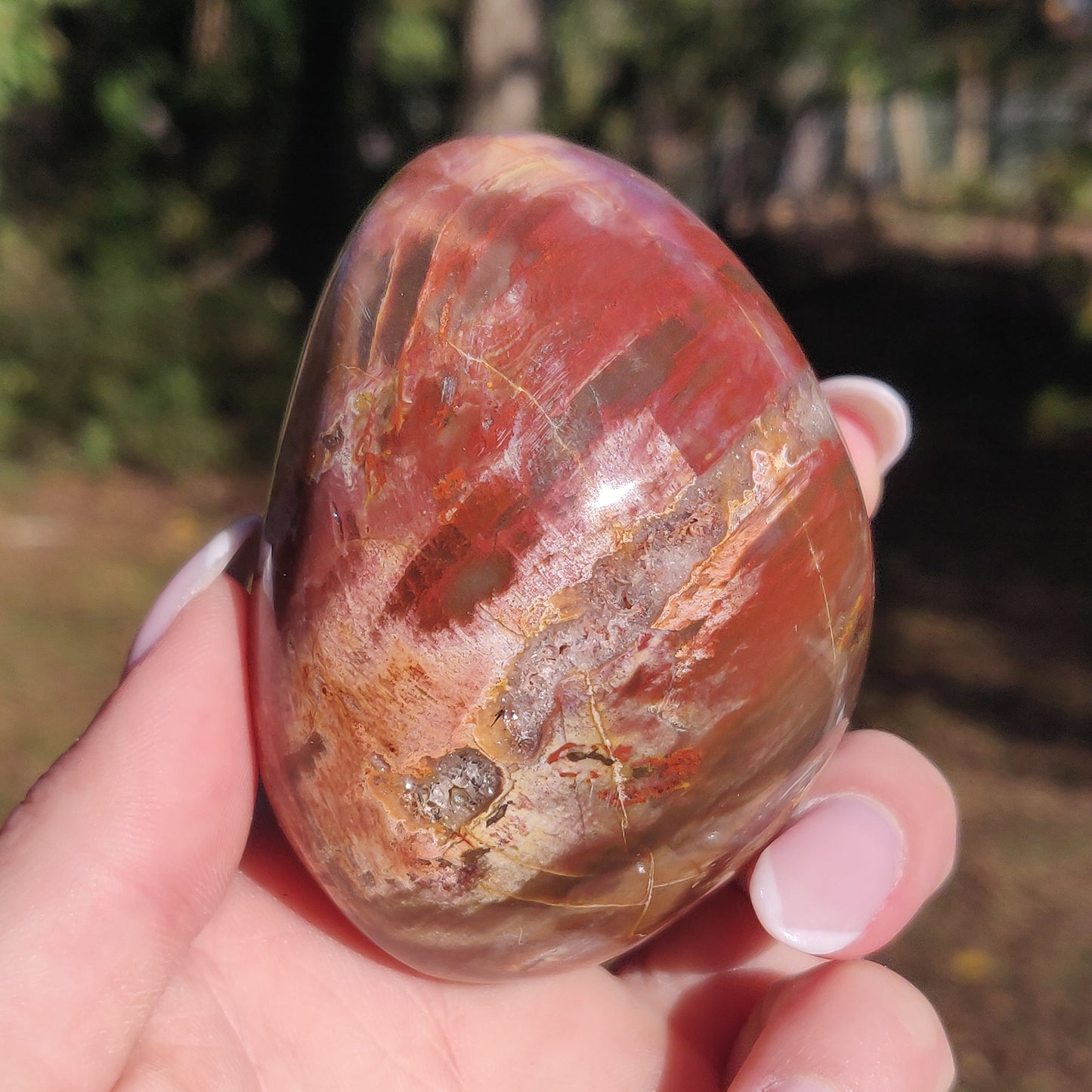 Large Petrified Wood Palm Stone (#12S) - Simply Affinity