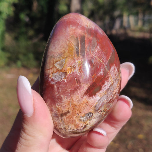 Large Petrified Wood Palm Stone (#12S) - Simply Affinity