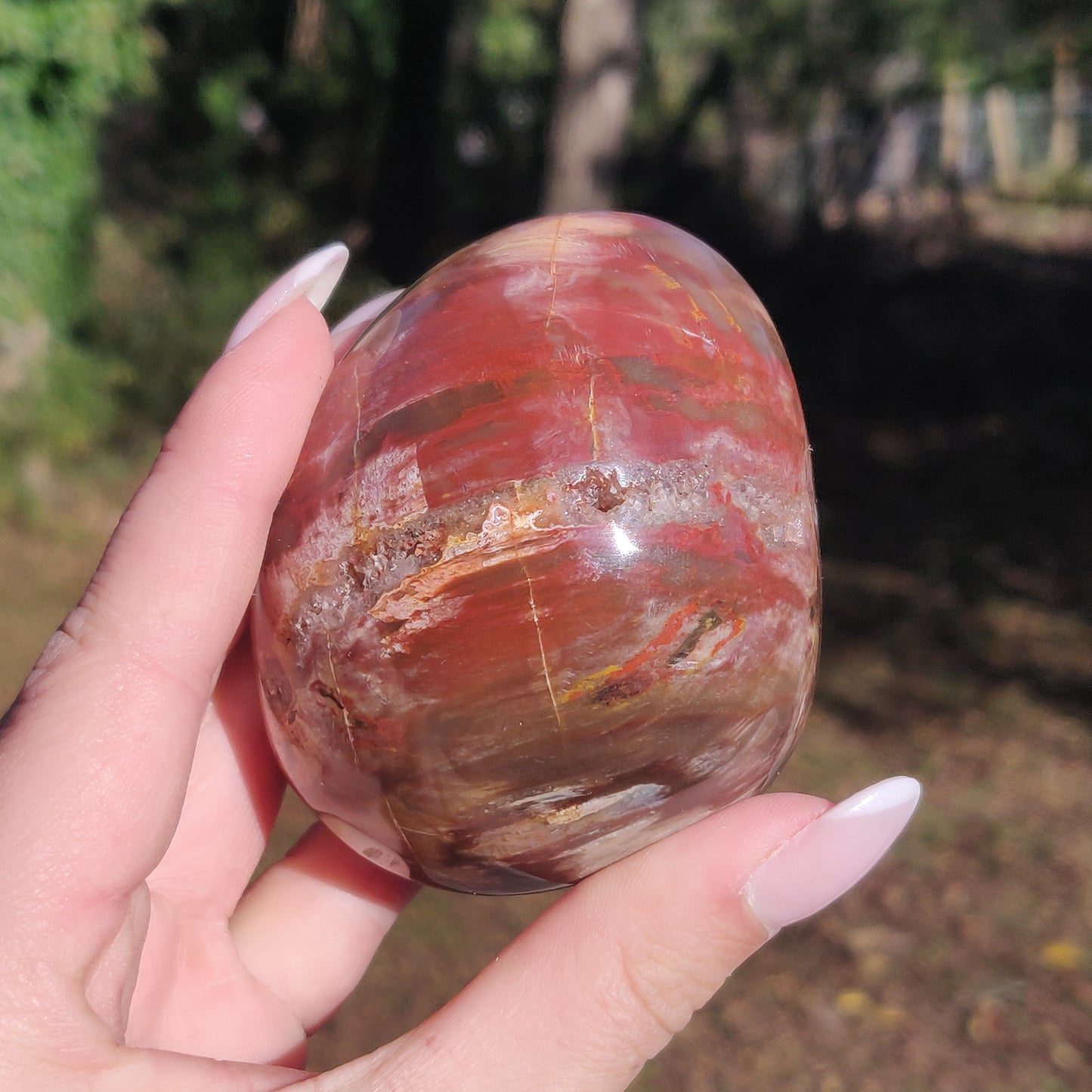 Large Petrified Wood Palm Stone (#12S) - Simply Affinity