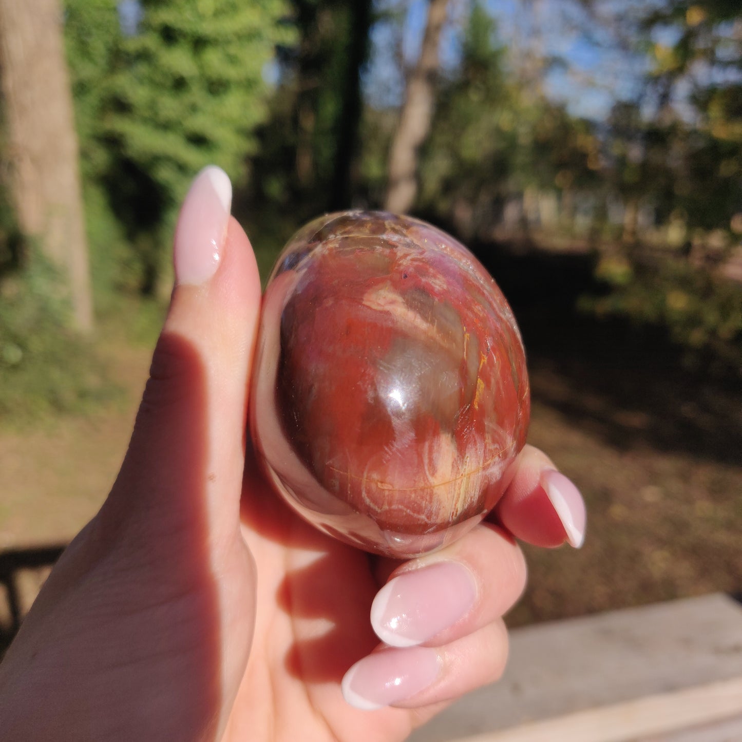 Large Petrified Wood Palm Stone (#12S) - Simply Affinity