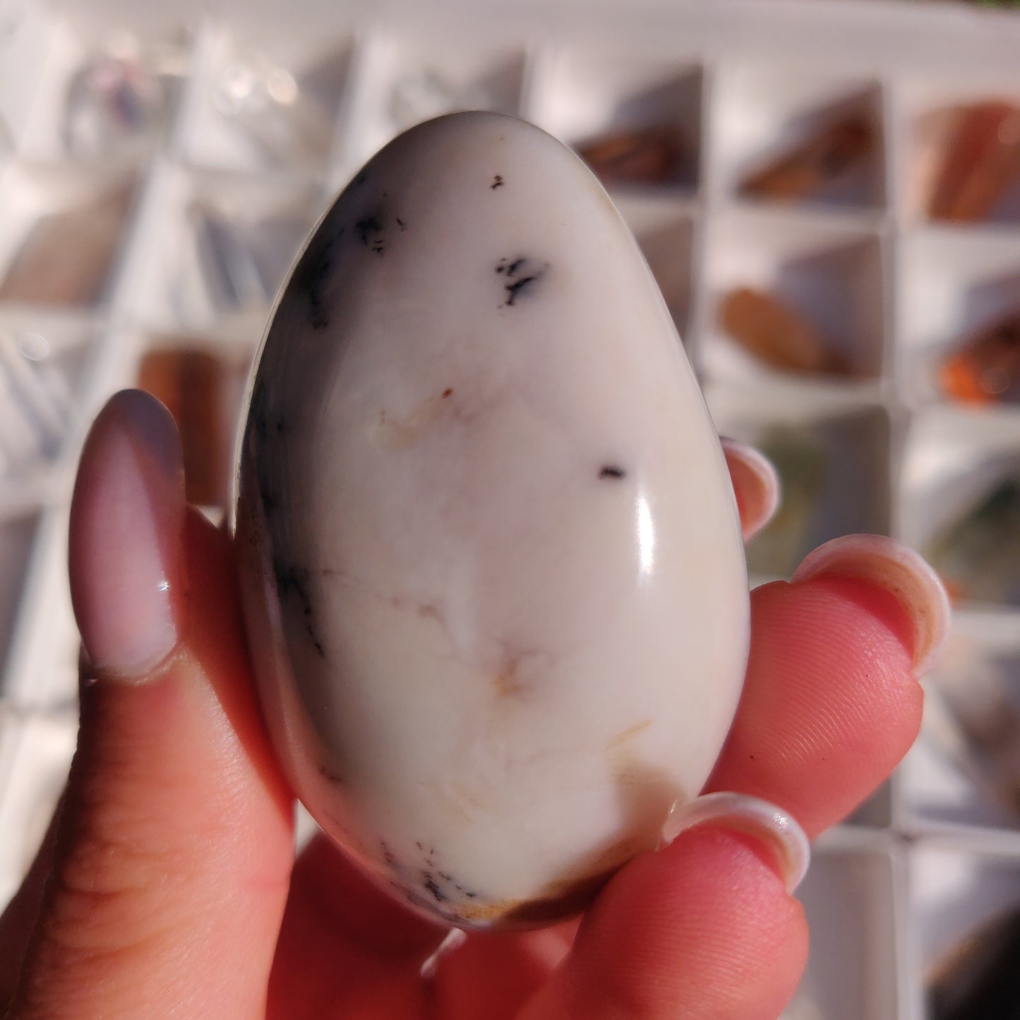 Purple Dendritic Opal Palm Stone (#15) - Simply Affinity