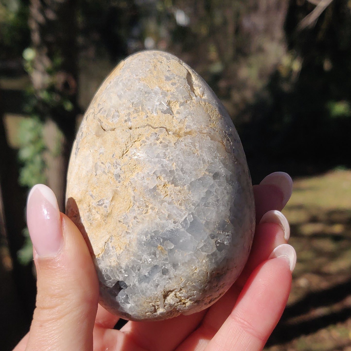 Celestite Egg (#1) - Simply Affinity